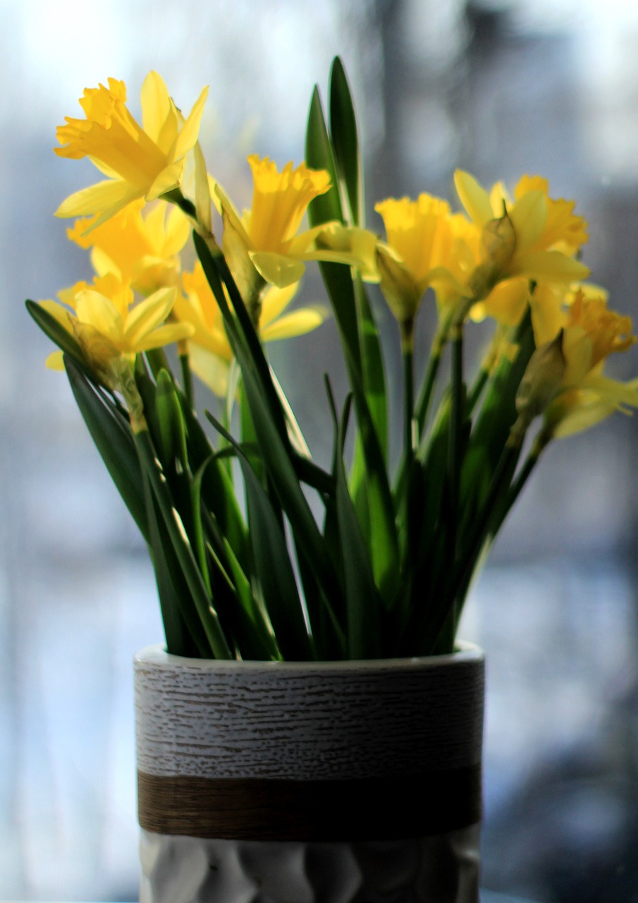 Daffodils Bouquet Spring - Free photo on Pixabay - Pixabay
