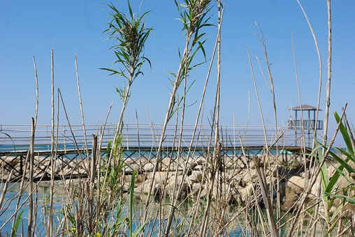 Free Port Sea photo and picture