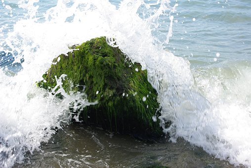 Free Wave Sea photo and picture