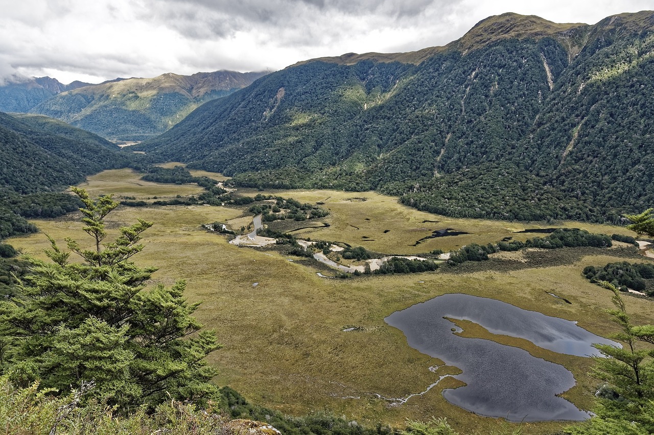 Boat cruising in a fjord in Fiordland National Park