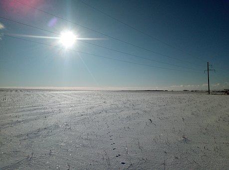 Free Field Snow photo and picture