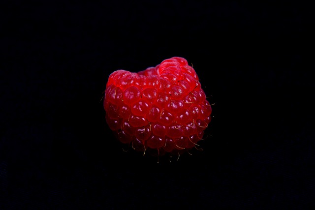 Free Raspberry Berry photo and picture