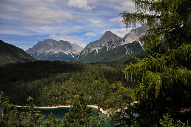 Berge, Wald, Österreich, Landschaft