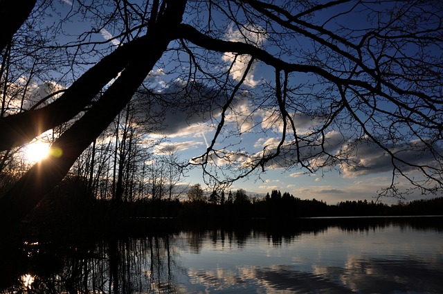 Natur, See, Wasser, Landschaft, Insel