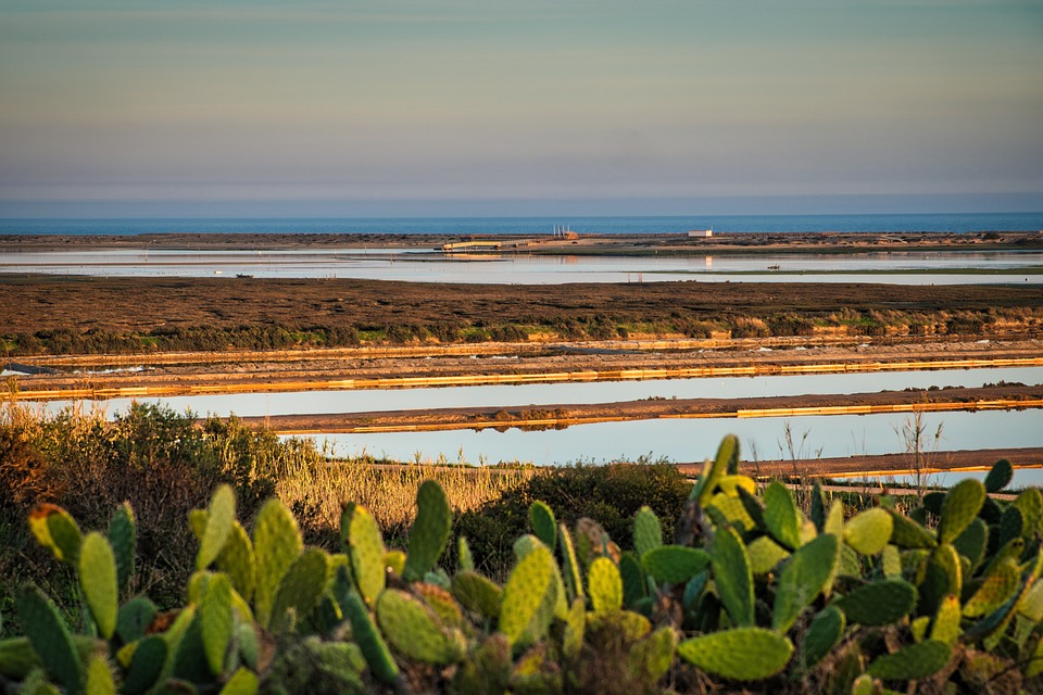 Discover Algarve’s Best-Kept Secrets: The Towns Worth Visiting