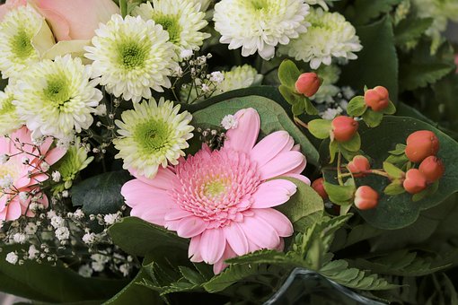 Kytice, Gerbera, Růžový, Jasný