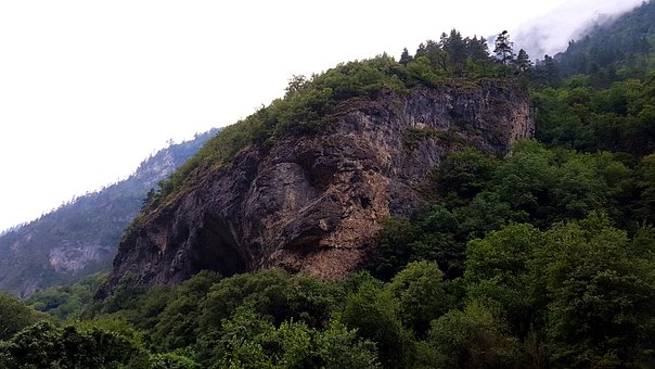 Free Forest Mountains photo and picture