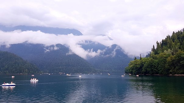 Free Lake Forest photo and picture