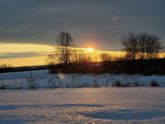 Free Snow Winter photo and picture