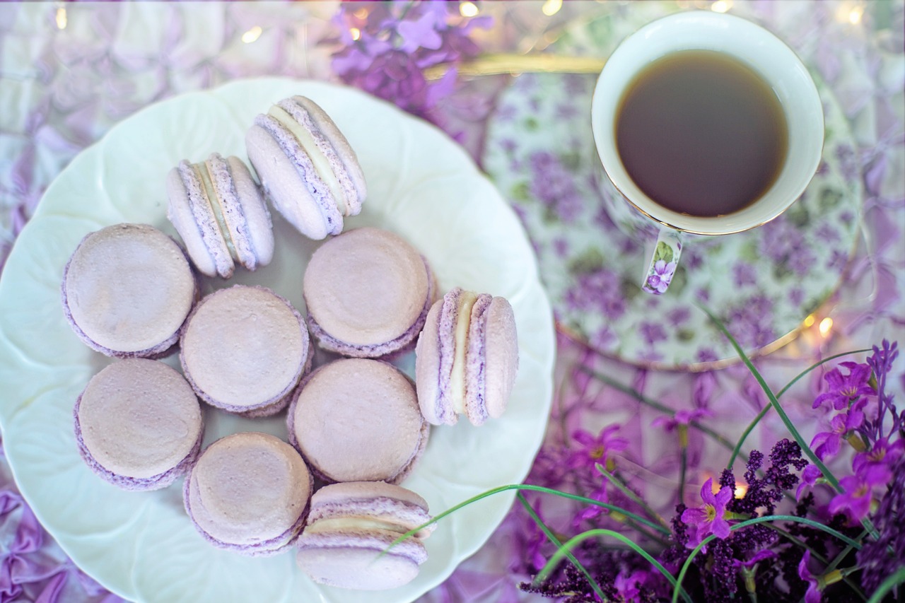 Download free HD stock image of Macarons Purple Free Macarons Purple photo and picture