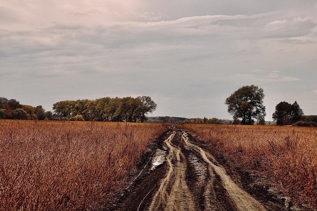 Free Autumn Landscape photo and picture