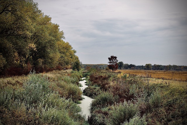 Free River Autumn photo and picture