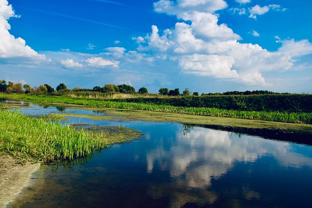 Free River Summer photo and picture