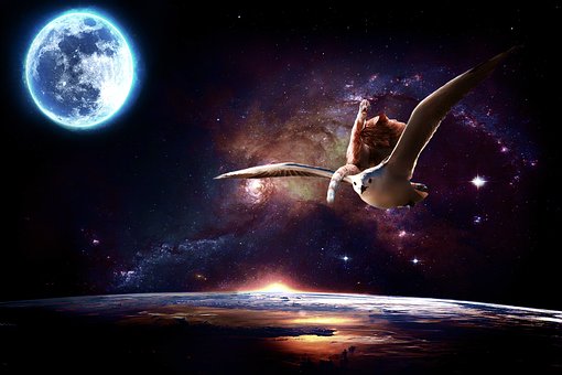 Free Moon Space photo and picture