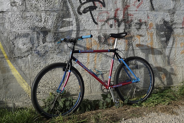 Free Single Speed Fixie photo and picture