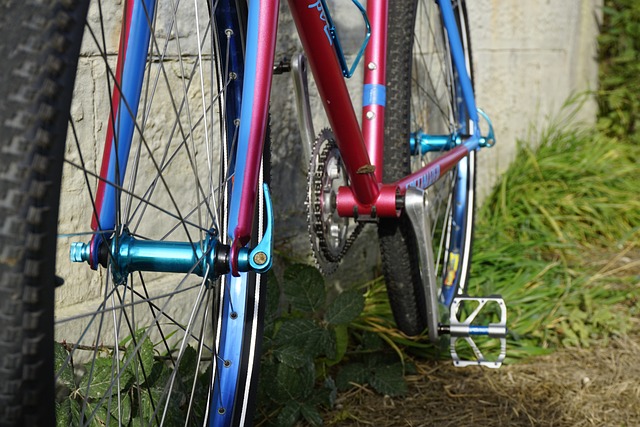 Free Single Speed Fixie photo and picture