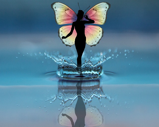 Download free HD stock image of Water Gout Free water gout butterfly illustration