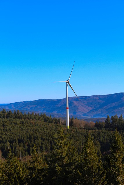 Free Wind Windpower photo and picture