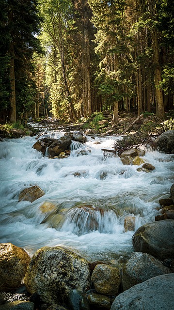 Free Dombay Mountains photo and picture