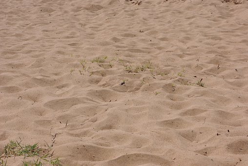 Free Sand Beach photo and picture
