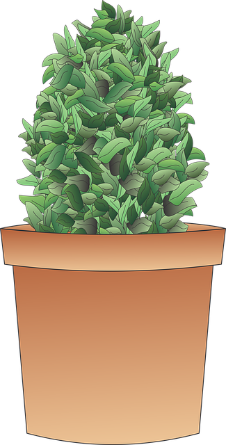 Free shrub plant tree illustration