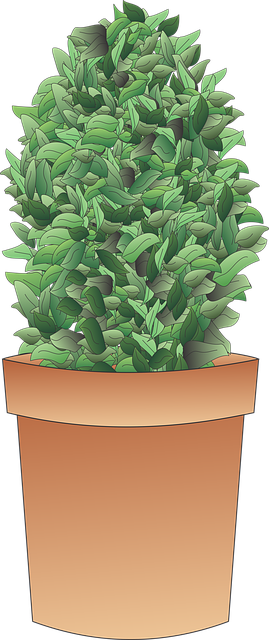 Free shrub bush plant illustration