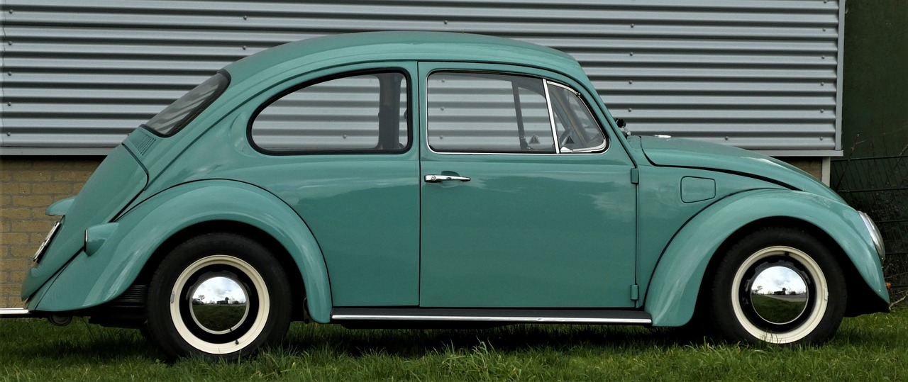 Beetle - free online jigsaw puzzle photo