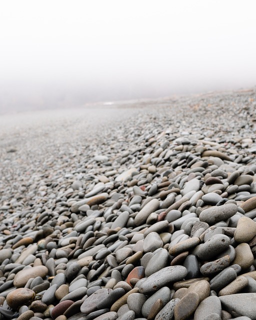 Free Rocks Fog photo and picture