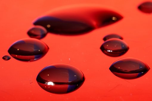 Free Macro Home Studios photo and picture