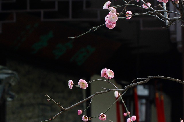 Free Suzhou Surging Wave Pavilion photo and picture