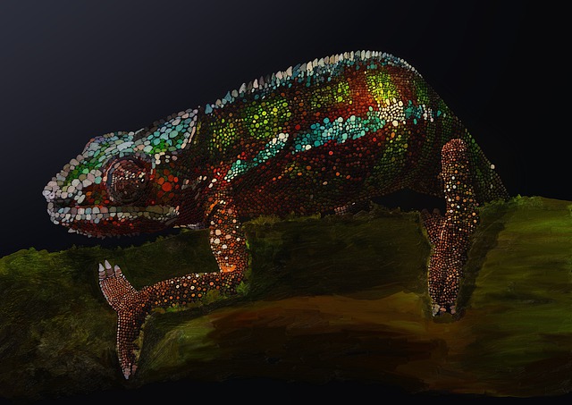 Free chameleon to dye reptile illustration