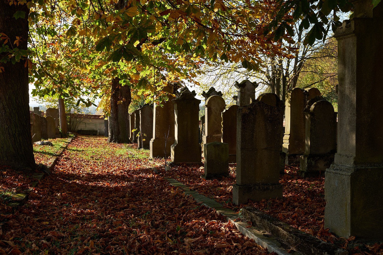 Nature - free online jigsaw puzzle photo