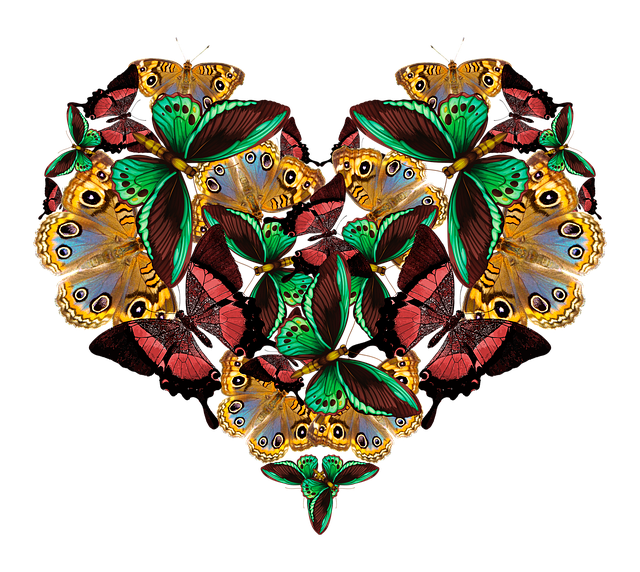 Free butterflies heart love illustration