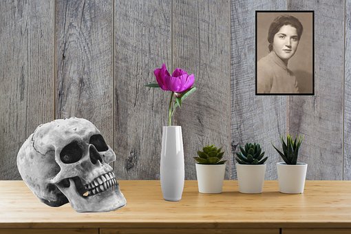 Free Table Flowers photo and picture