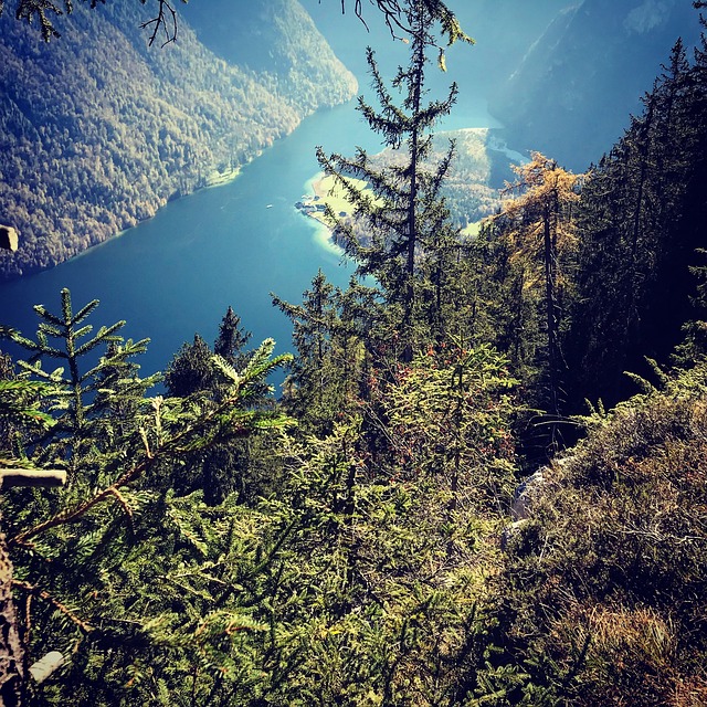 Free Königssee Bavaria photo and picture