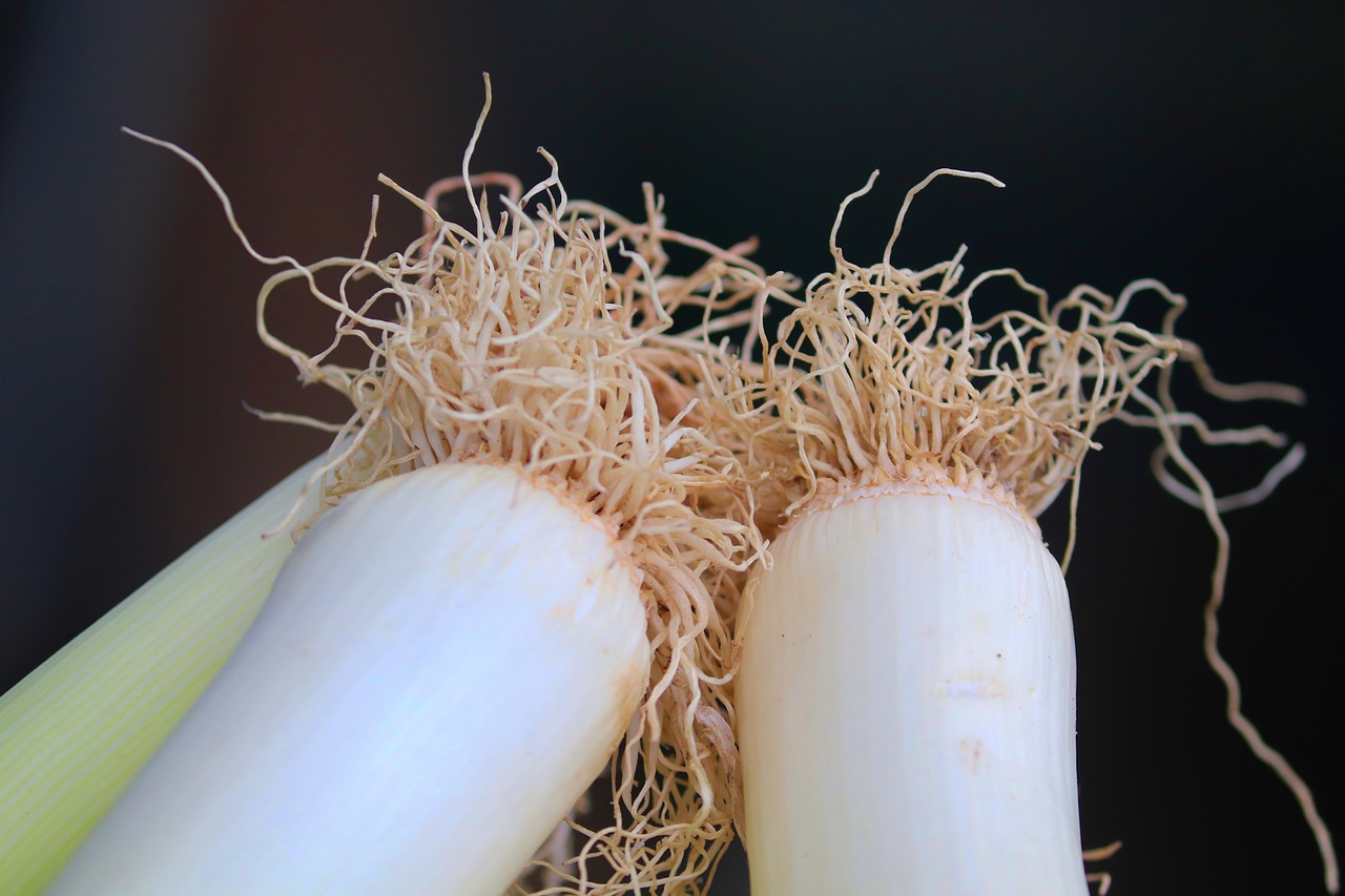 Leek - free online jigsaw puzzle photo