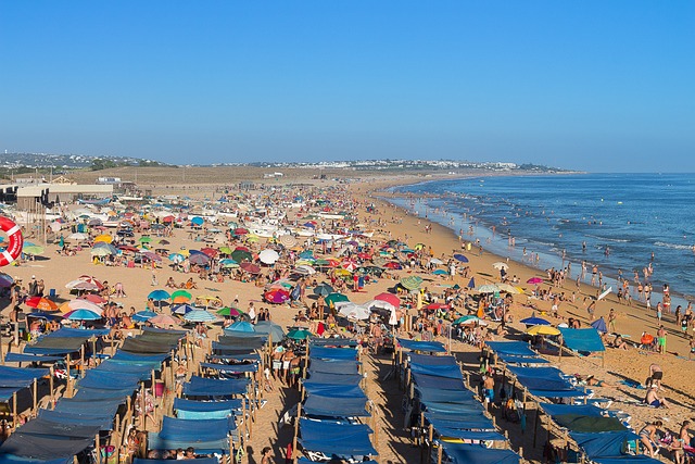 Free Beach Sea photo and picture