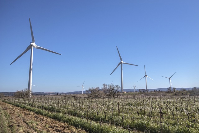 Wind turbine, earth hour, green technology and vineyard — photo by JansenMann