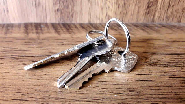 Free Key Door photo and picture
