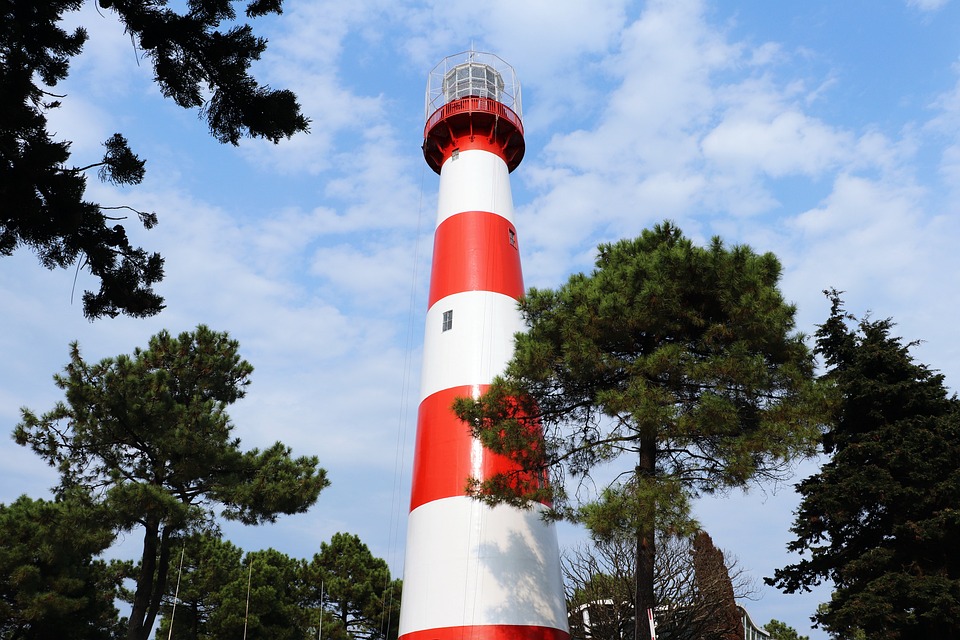 Get Havet signal For Android Free