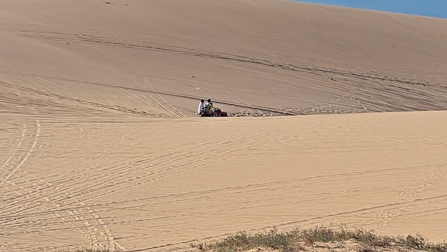Free Vietnam Dune photo and picture