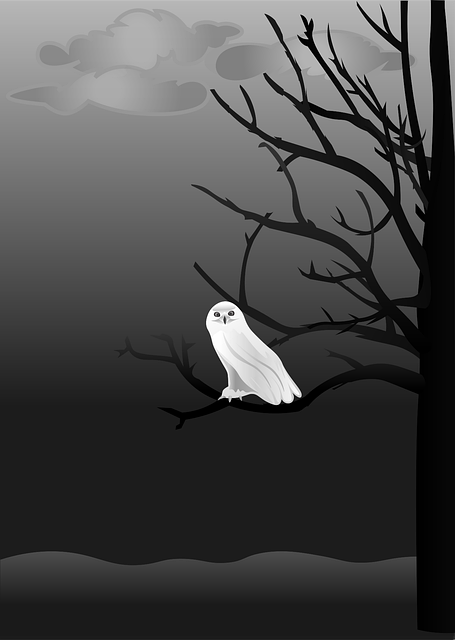 Free owl spooky night vector