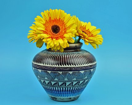 超过100 张关于 花束的非洲菊 和 非洲菊 的免费图片