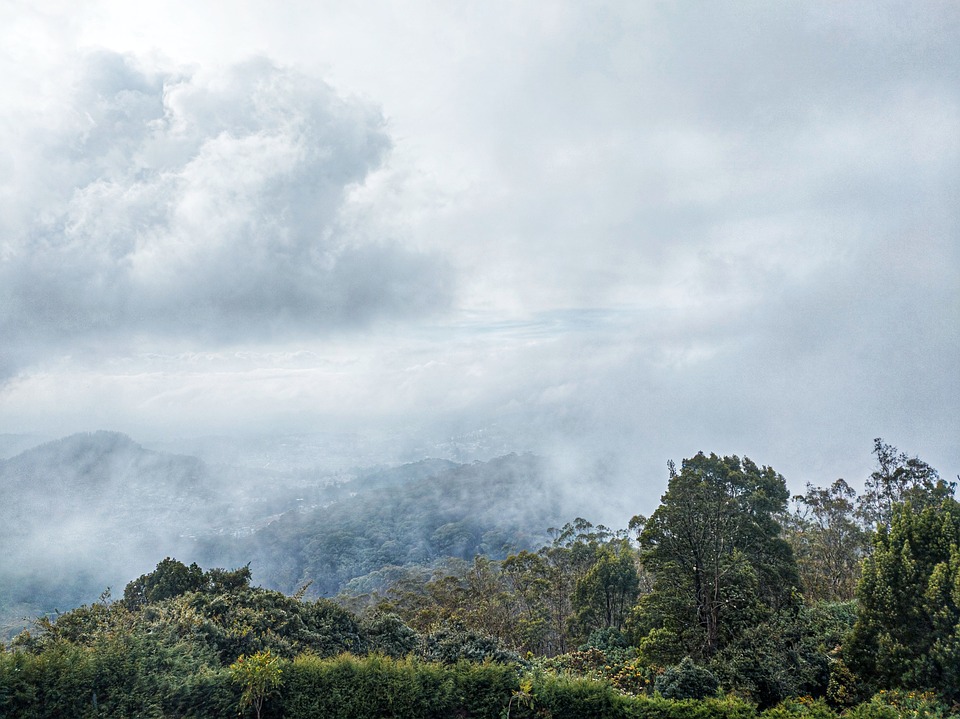 4 Nights 5 Days Ooty Tour Package