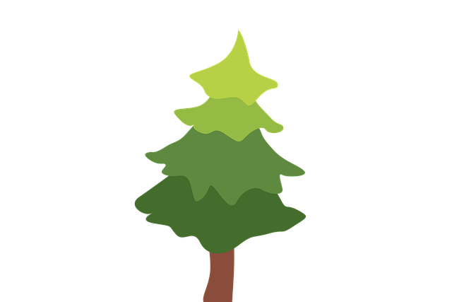 Free spruce tree green illustration