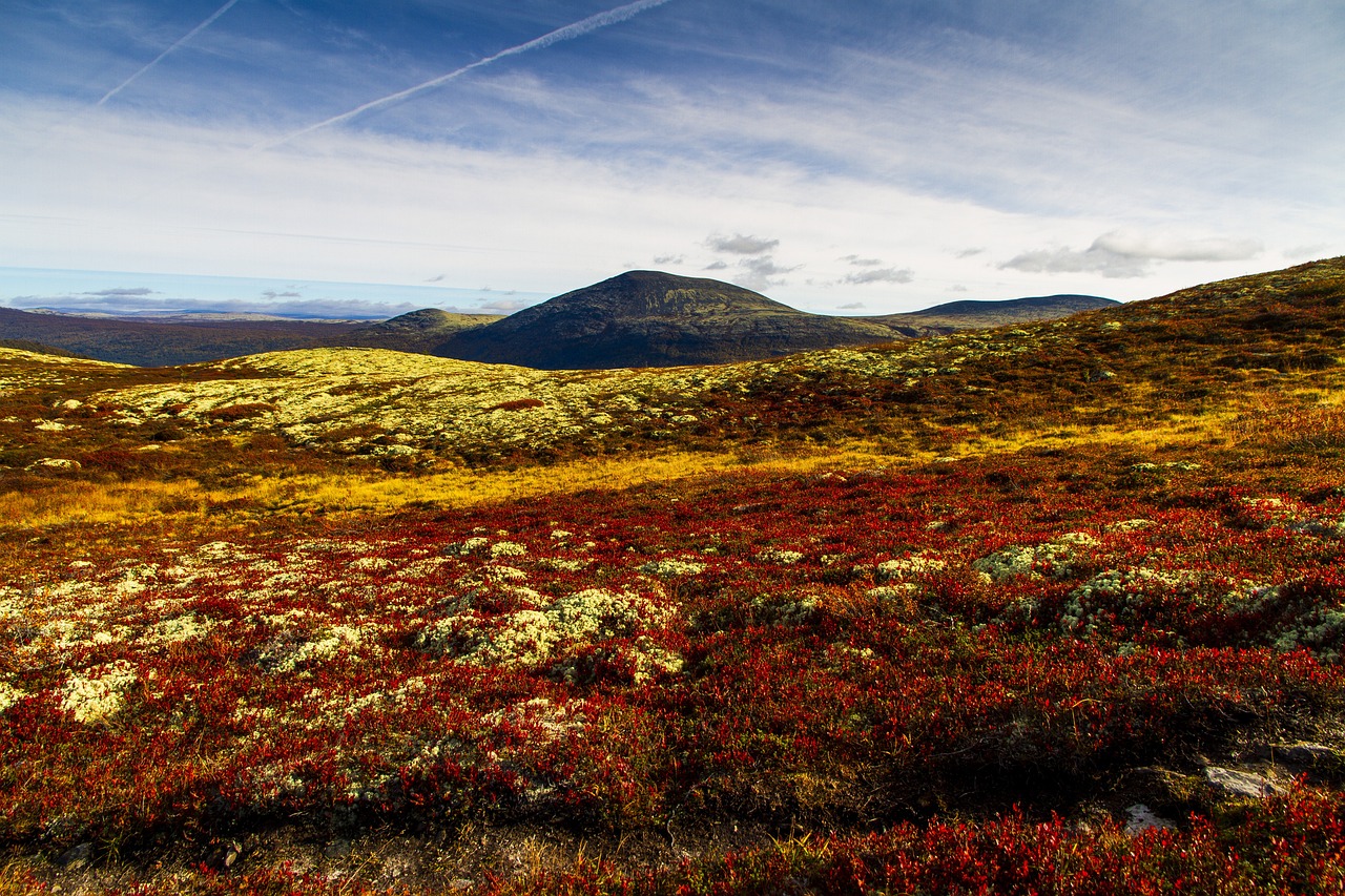 Landscape - free online jigsaw puzzle photo