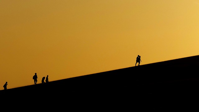 Free Vietnam Dune photo and picture