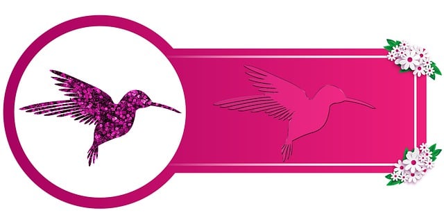 Free bird bird illustration bird drawing illustration