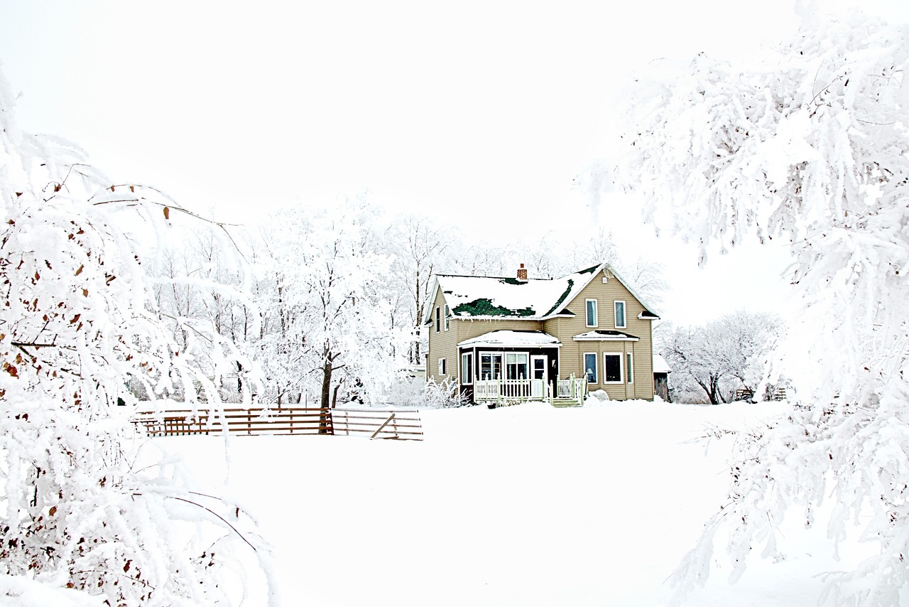 Free House Winter photo and picture
