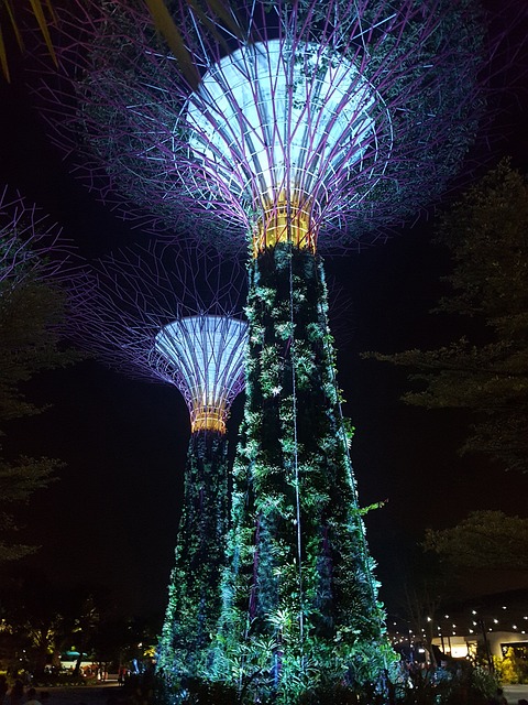 Free Singapore Gardens By The Bay Night photo and picture